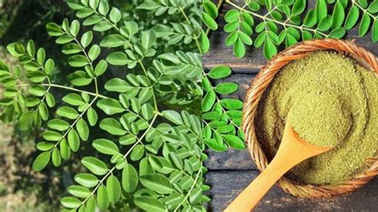 Manfaat Daun Kelor yang Jarang Diketahui untuk Ibu Hamil